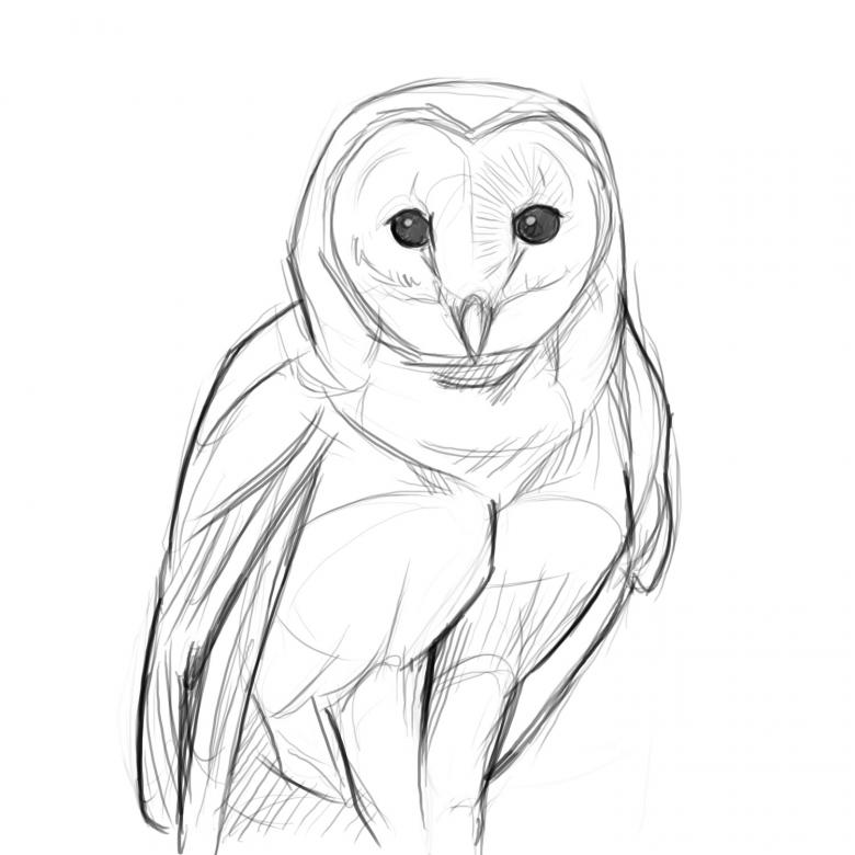 Нарисованная сова