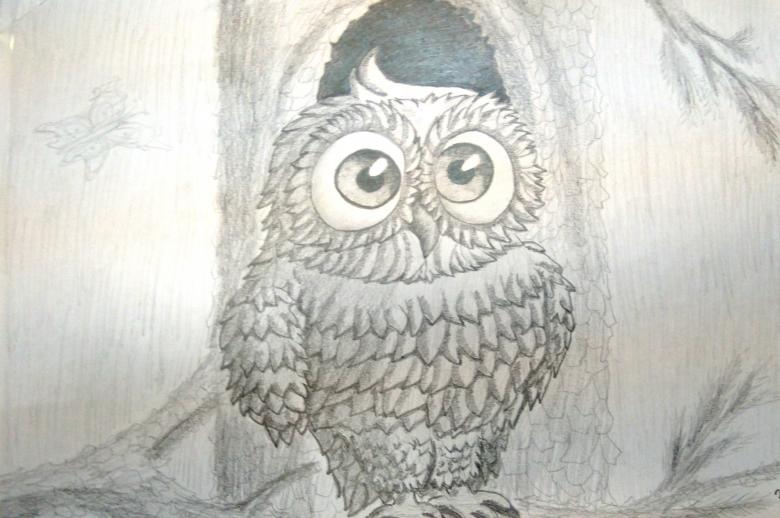 Нарисованная сова