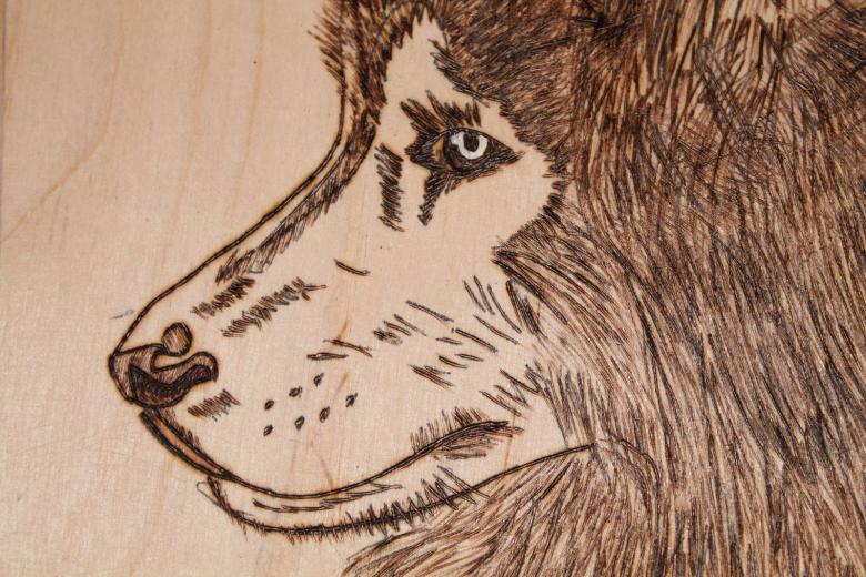 Выжигания по дереву