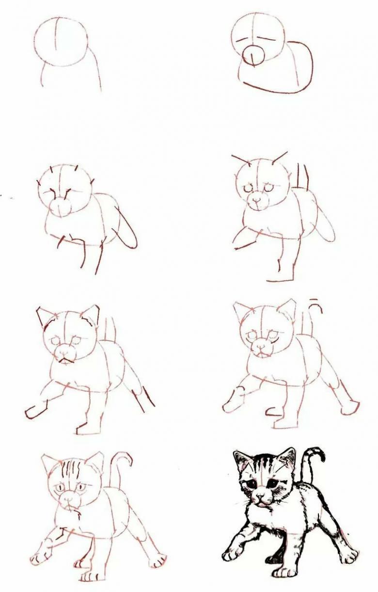 кот