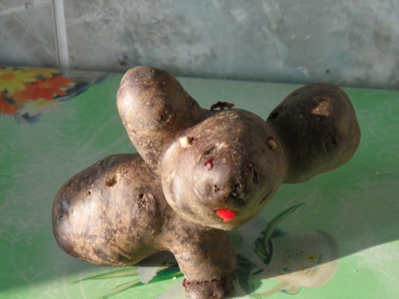 Поделка из картошки