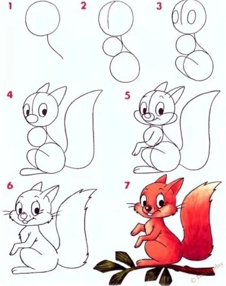 белка