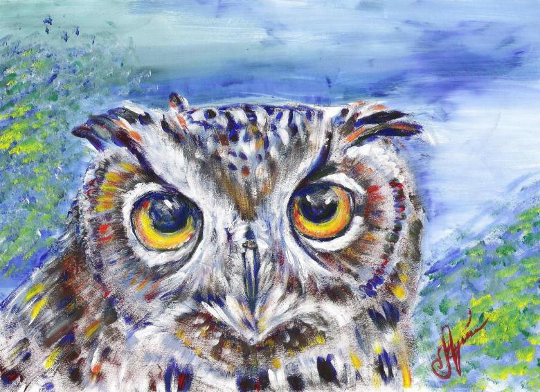 Нарисованная сова