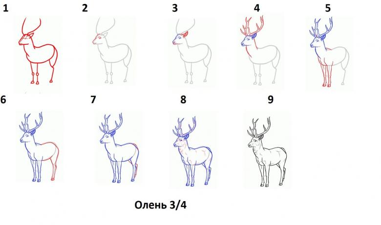 Нарисованный олень