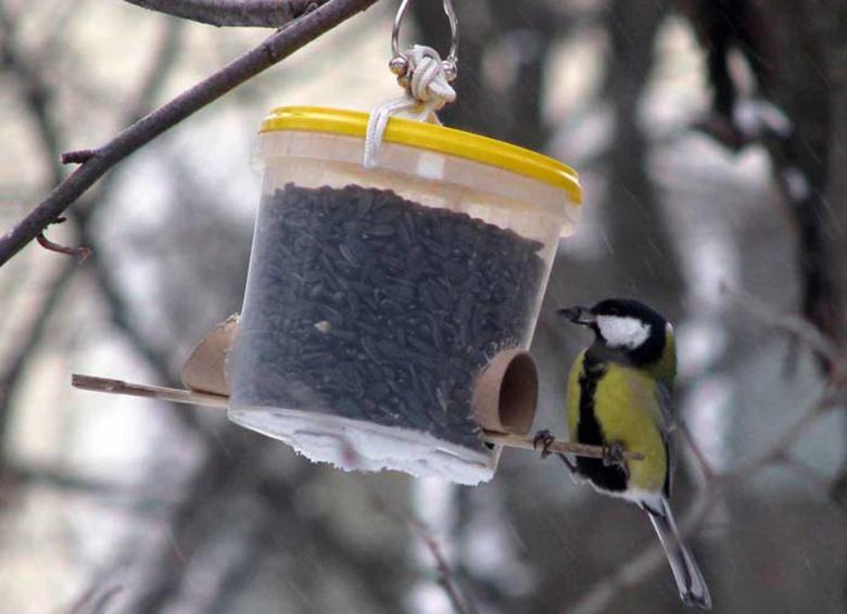 Кормушка для птиц 