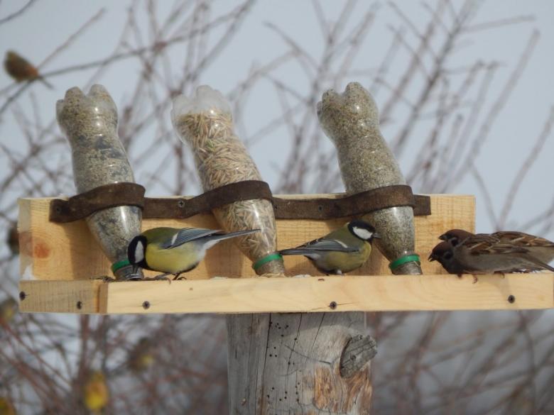 Кормушка для птиц 