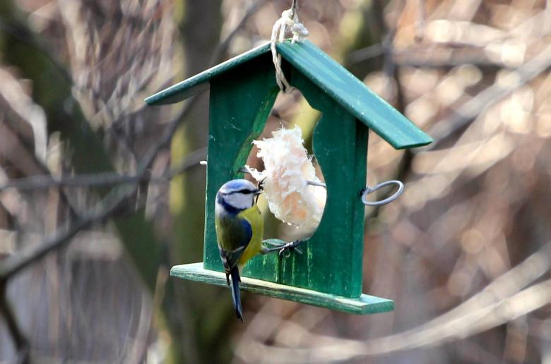 Кормушка для птиц 