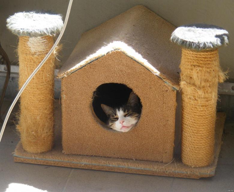 Домик для кошки