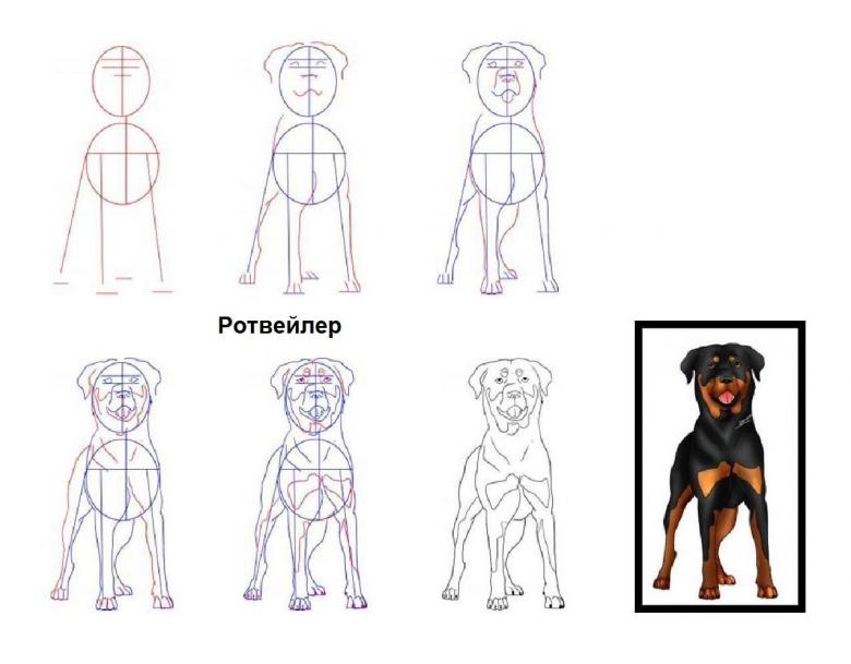 Нарисованная собака 