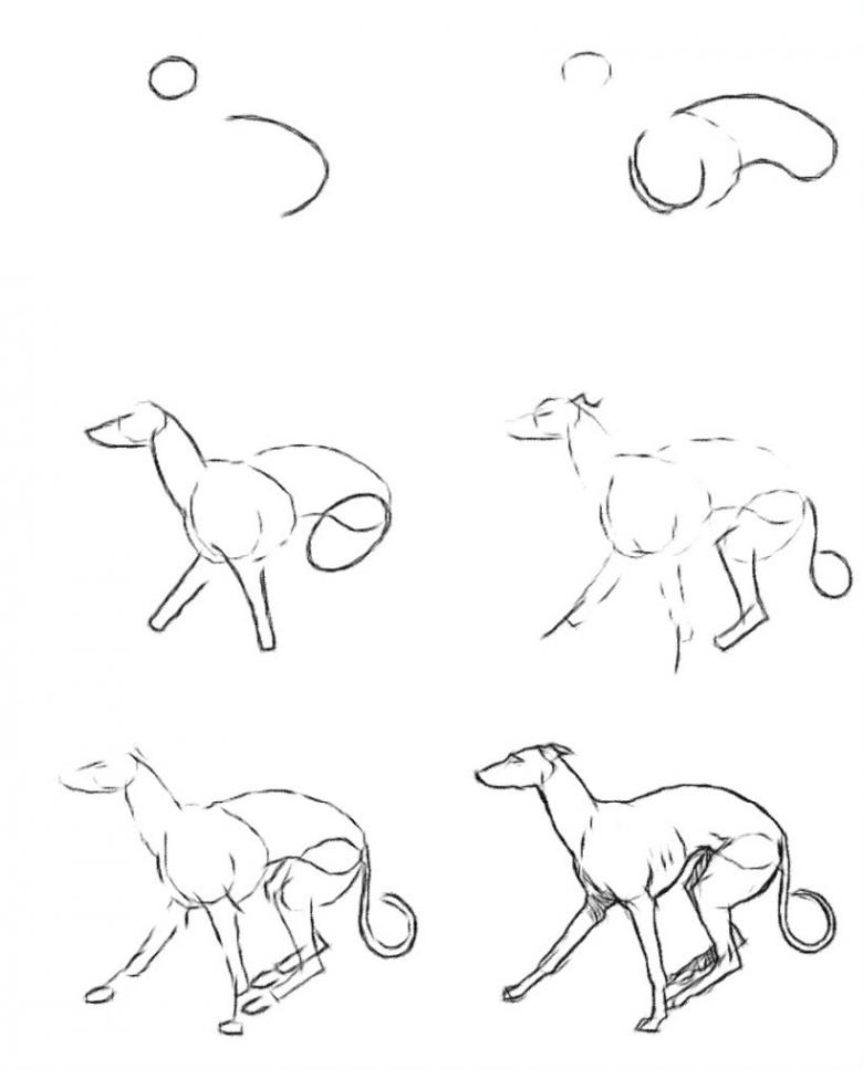 Нарисованная собака 