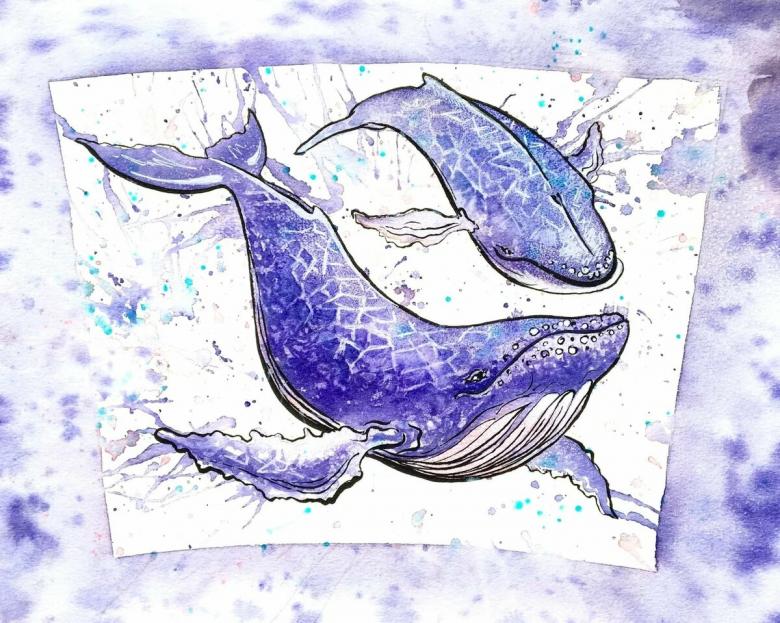 Кит нарисованный карандашом