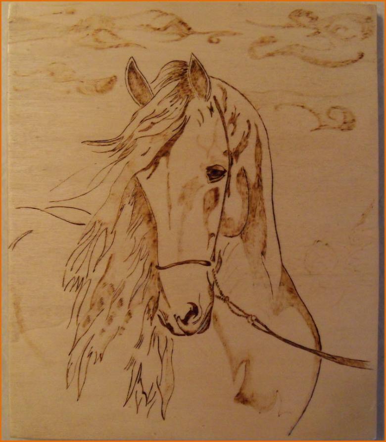 Выжигания по дереву