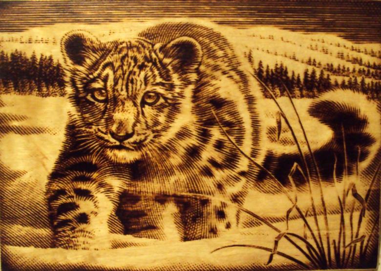 Выжигания по дереву