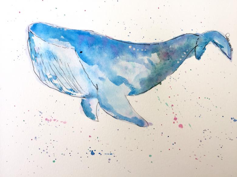 Кит нарисованный карандашом 