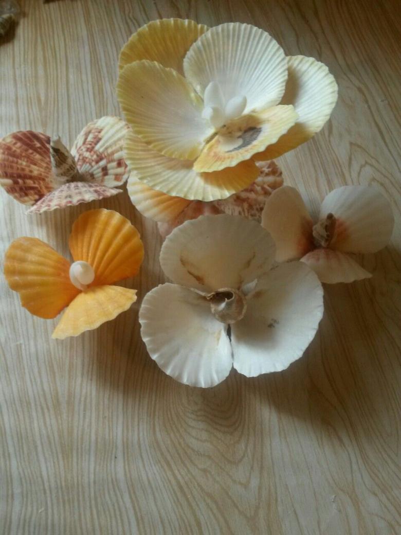 Поделки из ракушек