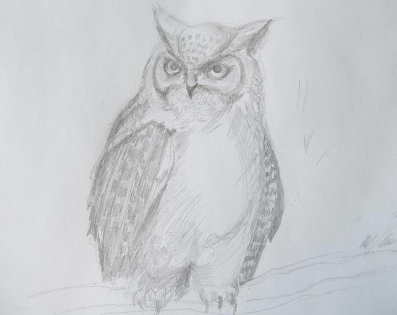 Нарисованная сова