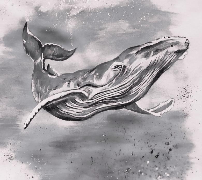 Кит нарисованный карандашом