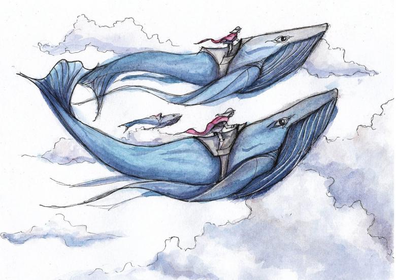 Кит нарисованный карандашом