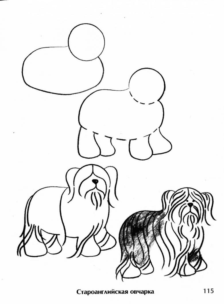 Нарисованная собака 