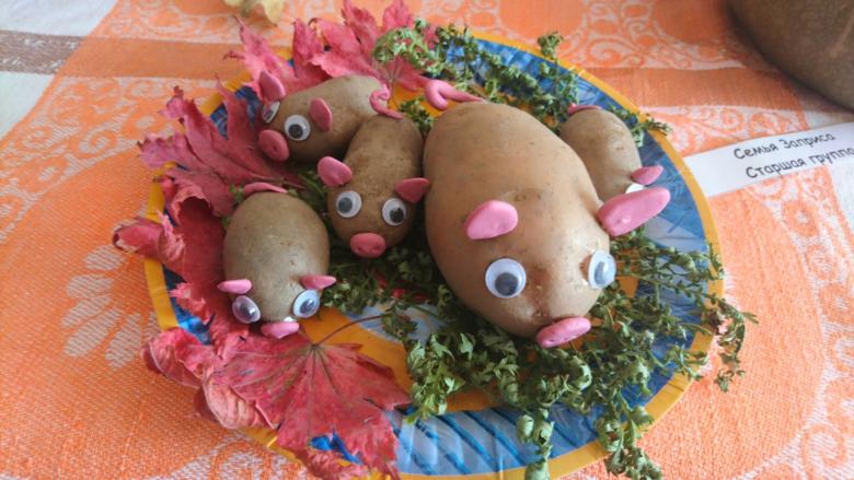 Поделка из картошки