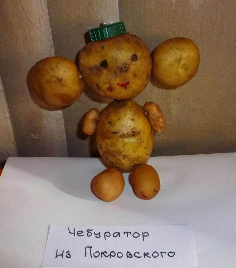 Поделка из картошки