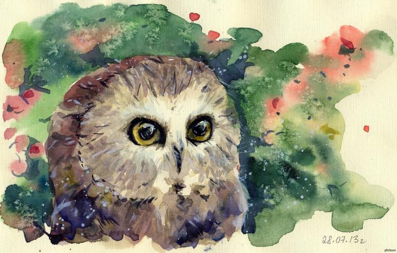 Нарисованная сова