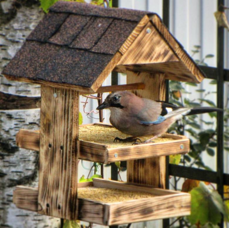 Кормушка для птиц 