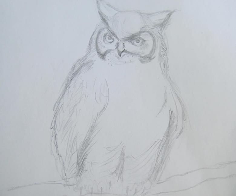 Нарисованная сова