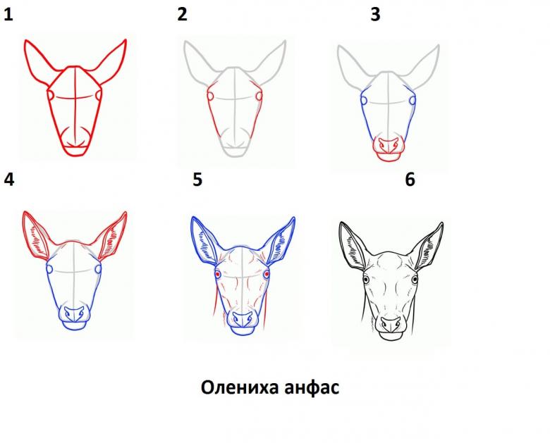 Нарисованный олень