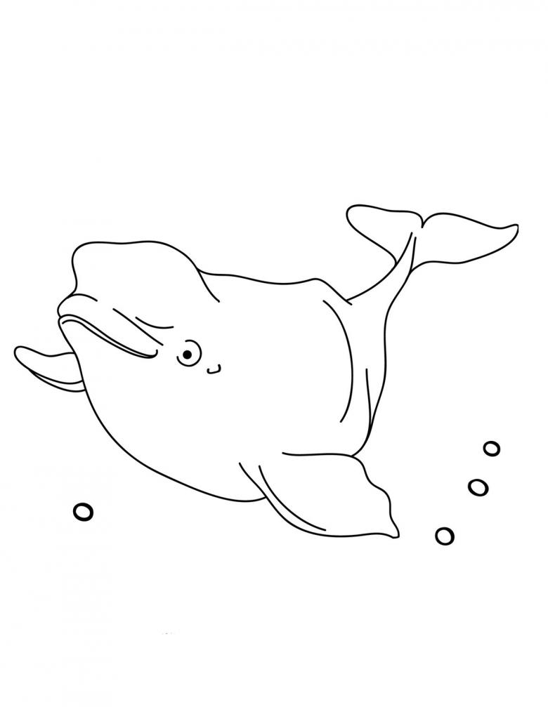 Кит нарисованный карандашом