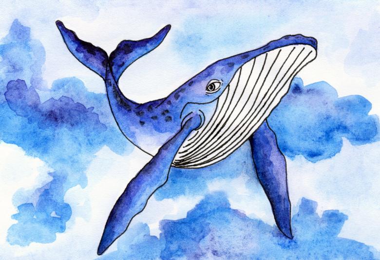 Кит нарисованный карандашом