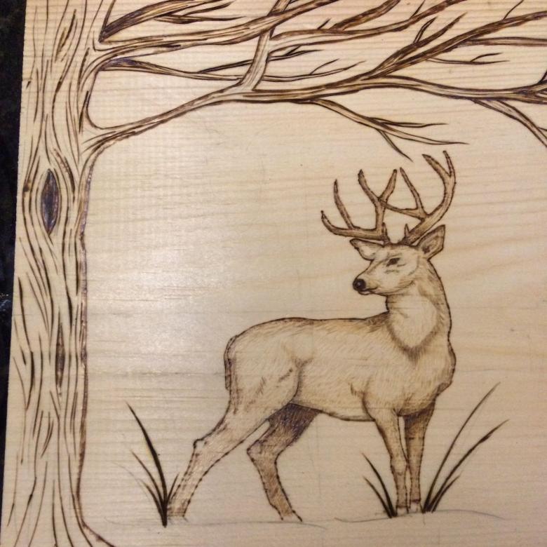 Выжигания по дереву